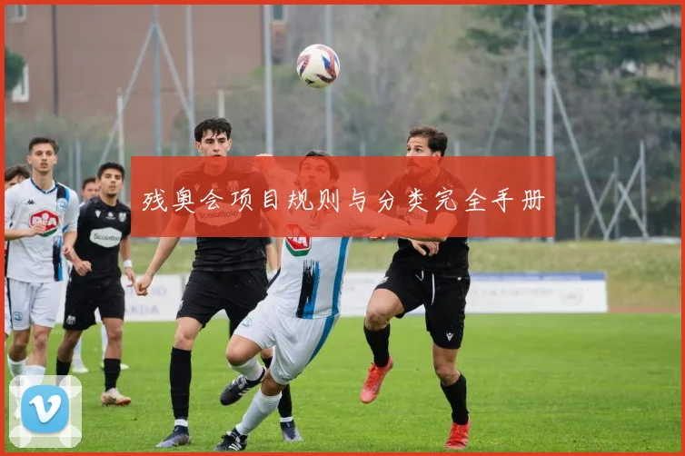 残奥会项目规则与分类完全手册
